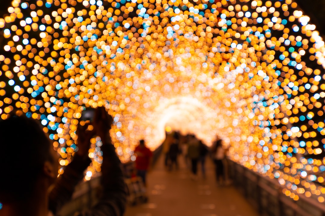 Diwali – The Festival of Lights in India (image credits: unsplash)