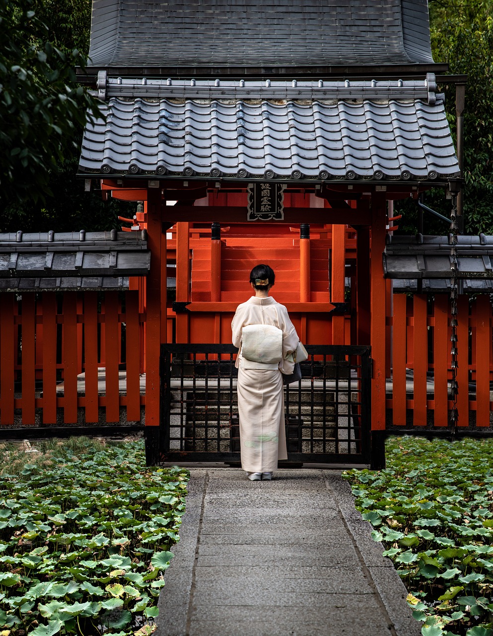Kyoto, Japan: Embracing Tradition Amidst Modernity (image credits: pixabay)