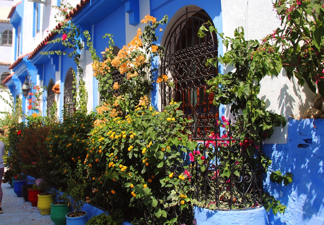 Chefchaouen's Blue-Washed Wonder (image credits: unsplash)