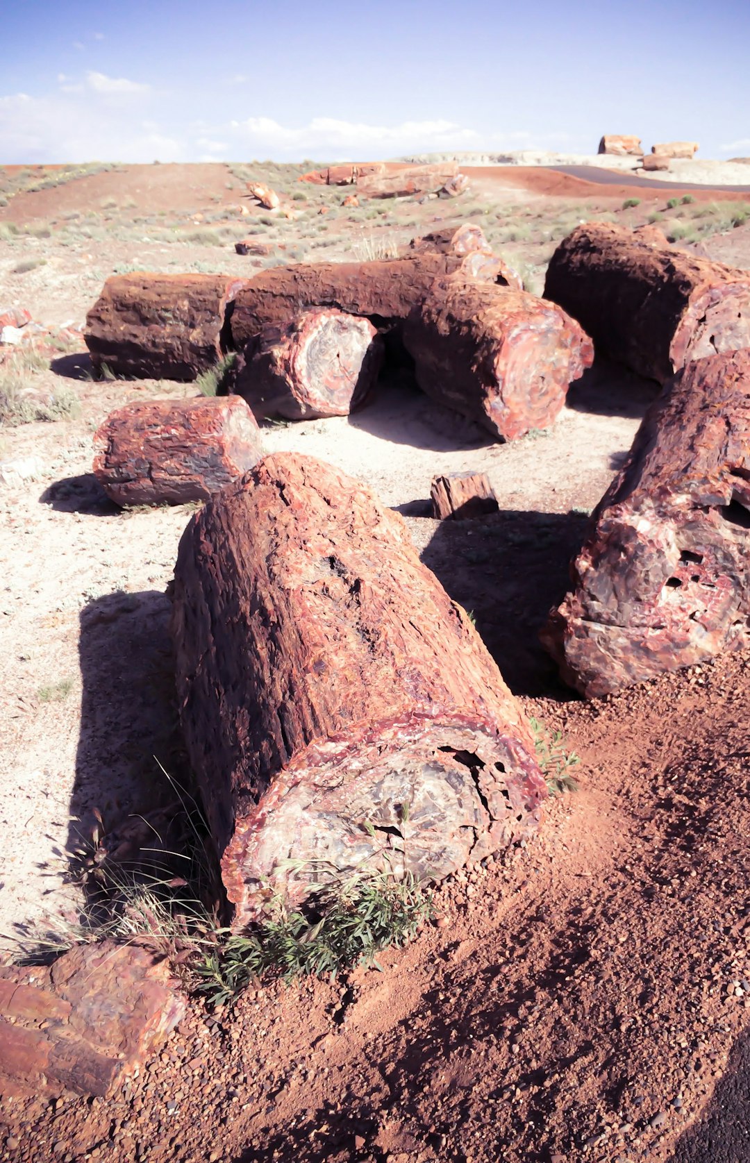 11. Petrified Forest National Park - The Rock Collection Disappointment (image credits: unsplash)