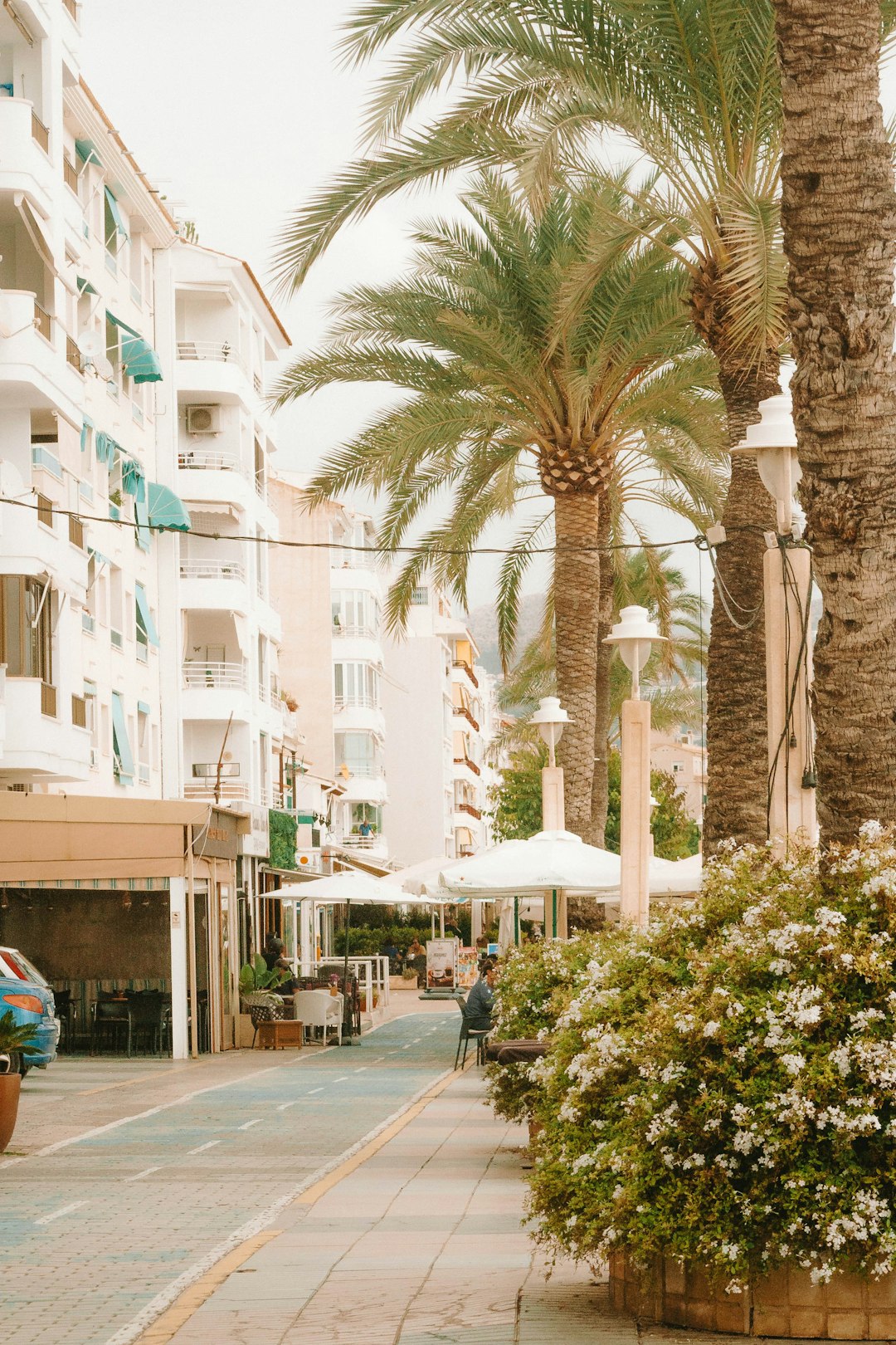 The Most Affected Cities: Paris, Rome, and Barcelona (image credits: unsplash)