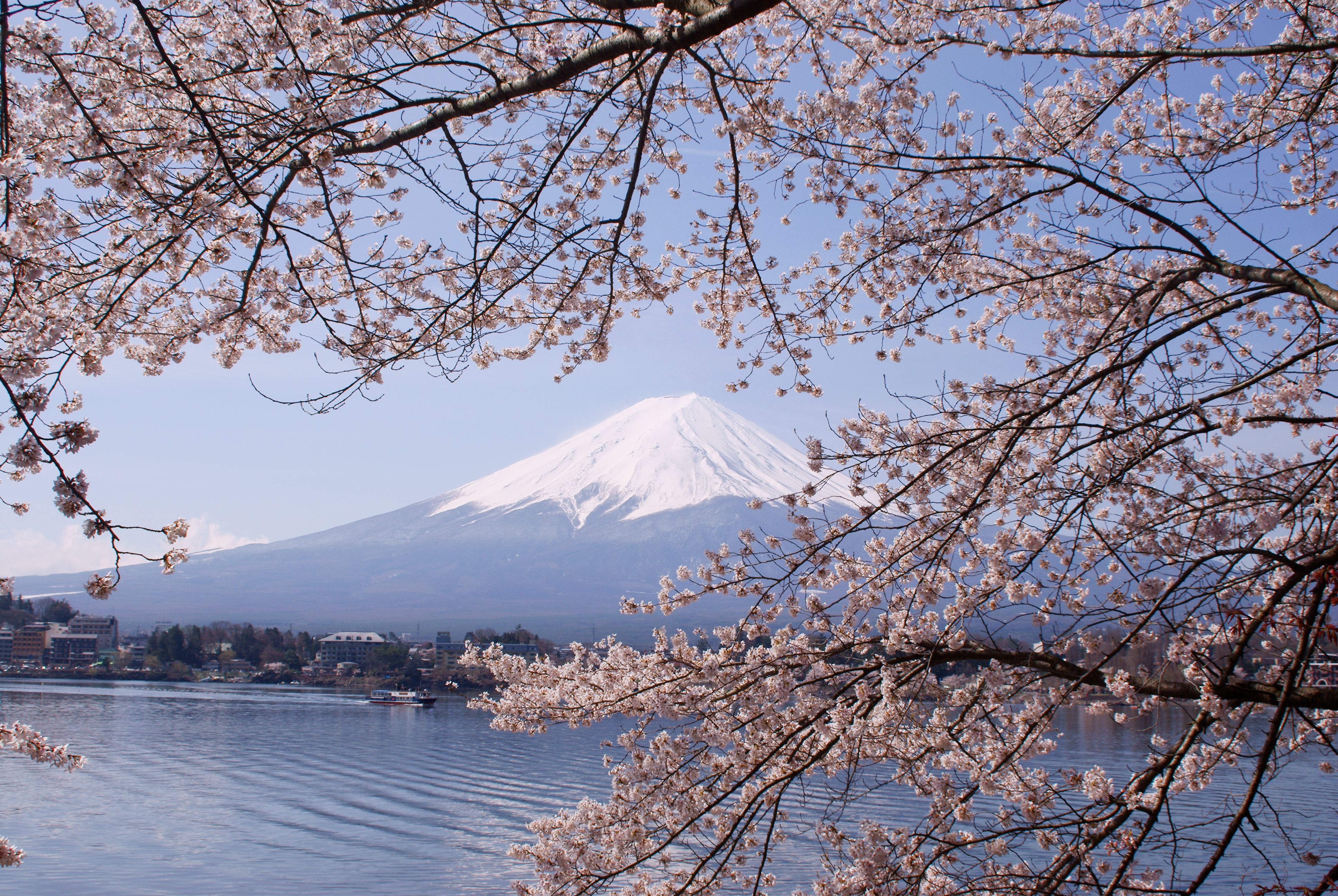 Japan’s Spirits and Sacred Sites (image credits: wikimedia)