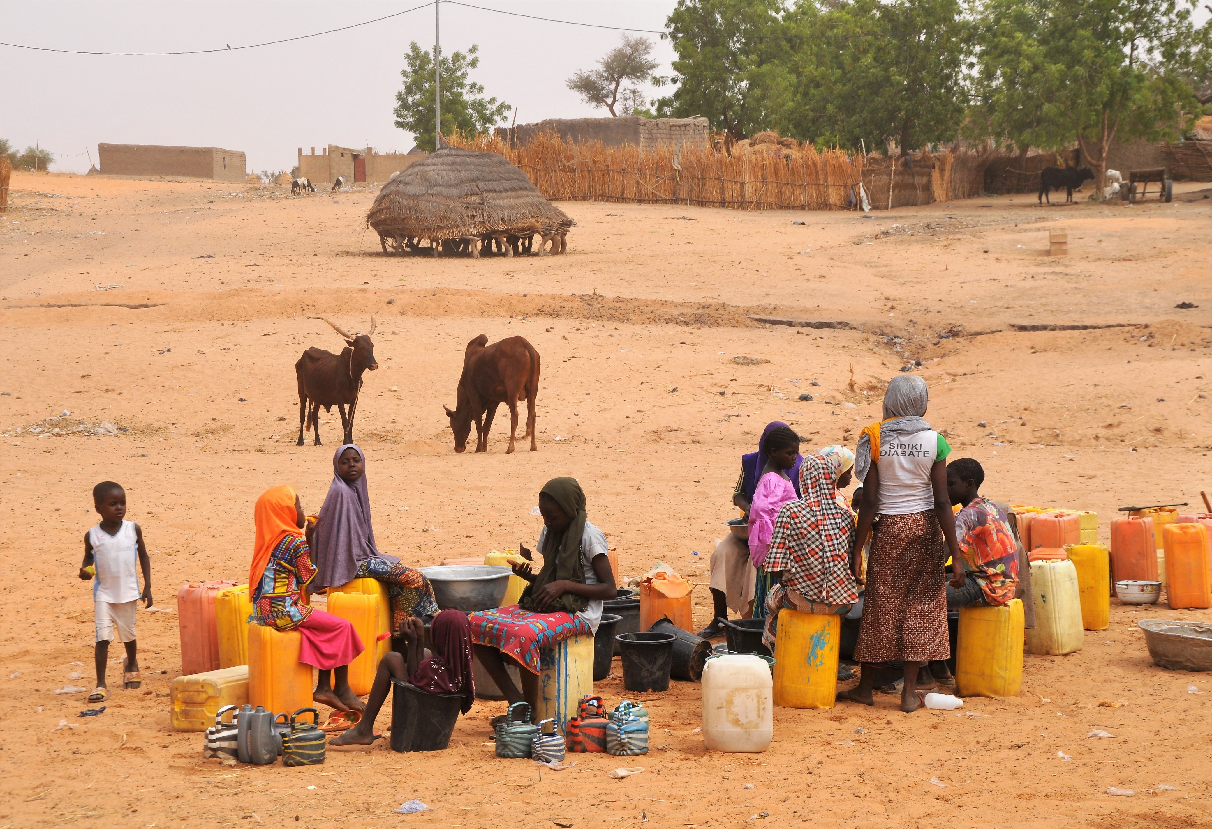 1. Niger: A Struggle with Sanitation (image credits: wikimedia)