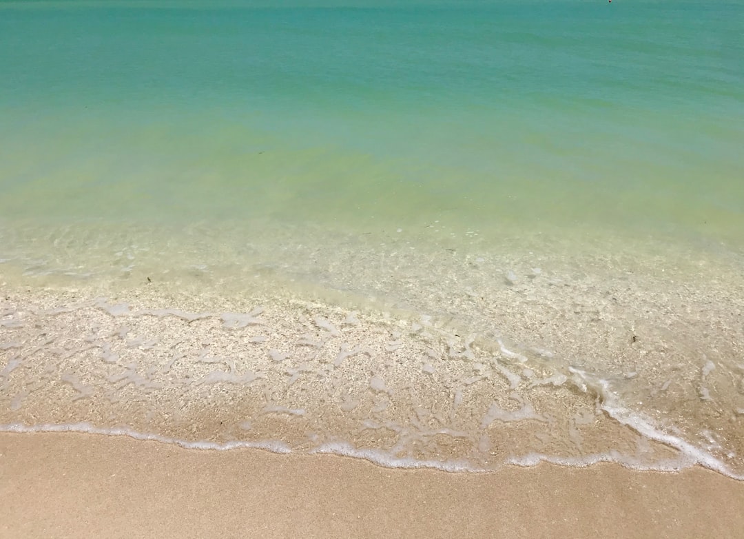 Better Bets for Beach Bliss (image credits: unsplash)