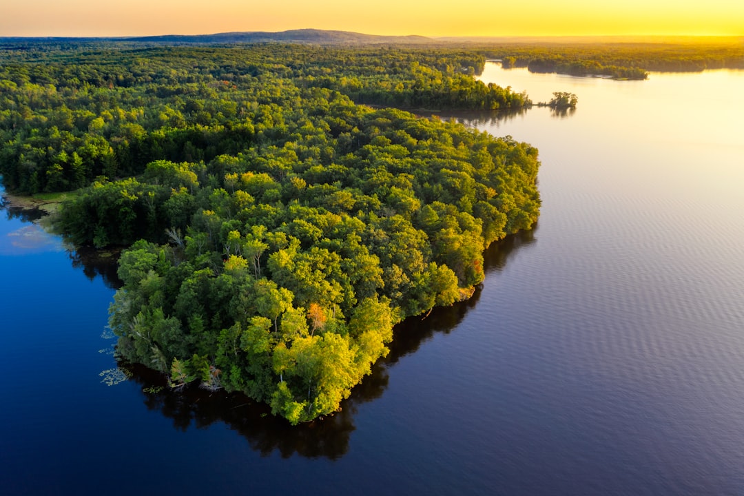 Brazil Amazon Under Threat (image credits: unsplash)