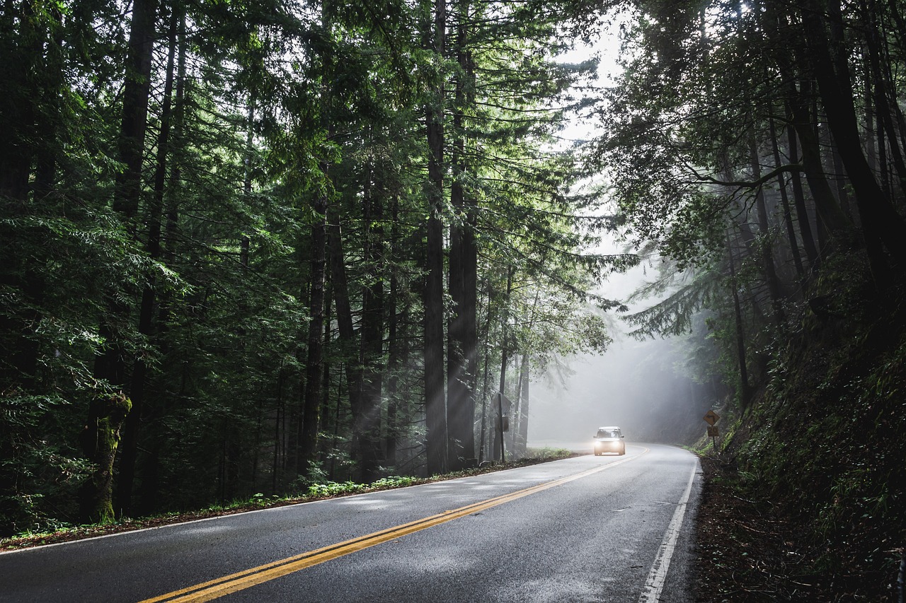 Preparing for Your Next Road Trip (image credits: pixabay)