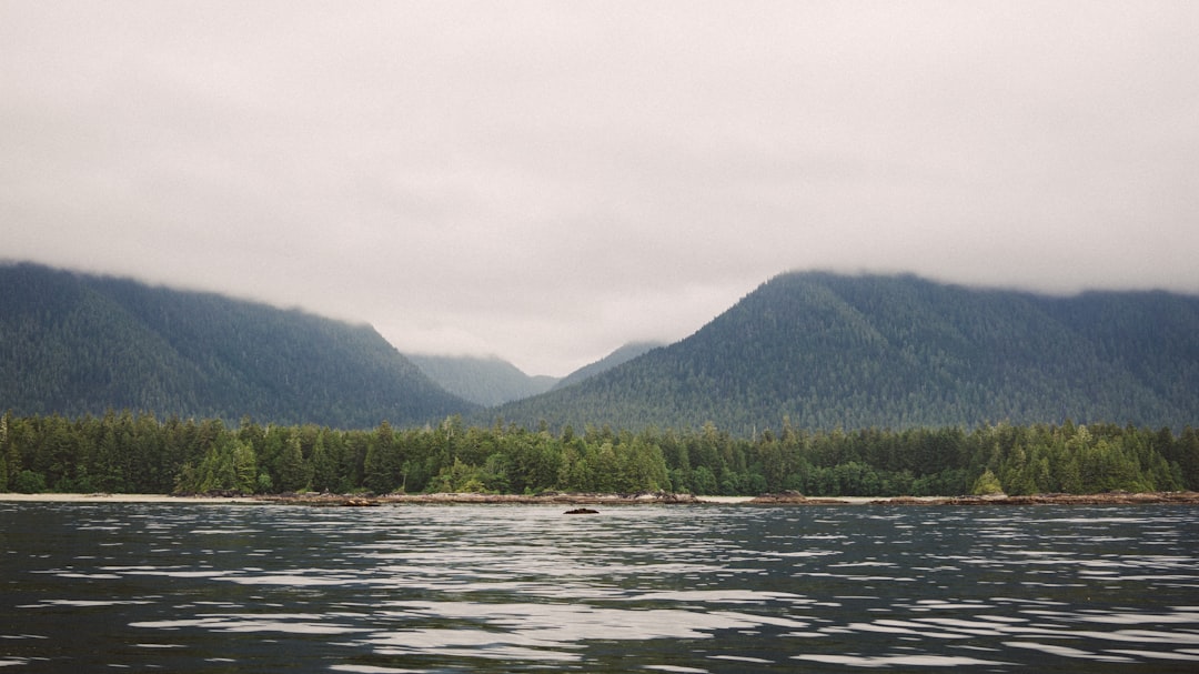 Tofino, British Columbia (image credits: unsplash)