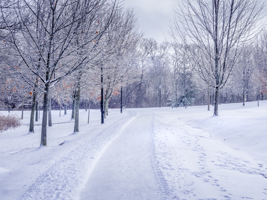 Canada: Beauty and Nature, but Cold Prevails (image credits: unsplash)
