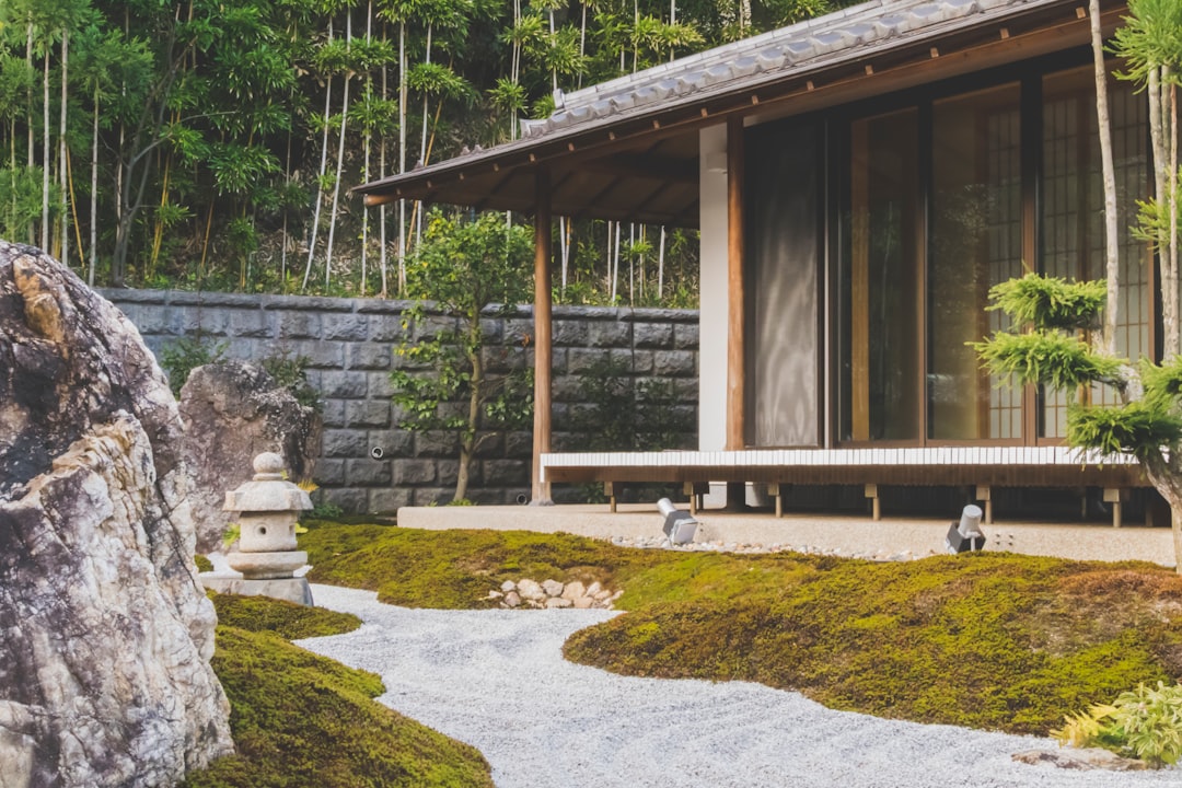 Japan Zen in Every Moment (image credits: unsplash)
