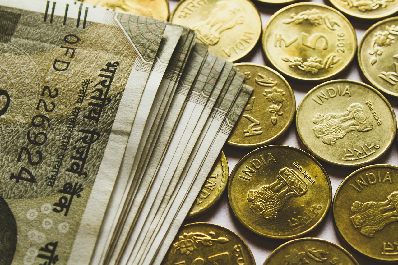 India: Cash Still Wears the Crown (image credits: pixabay)