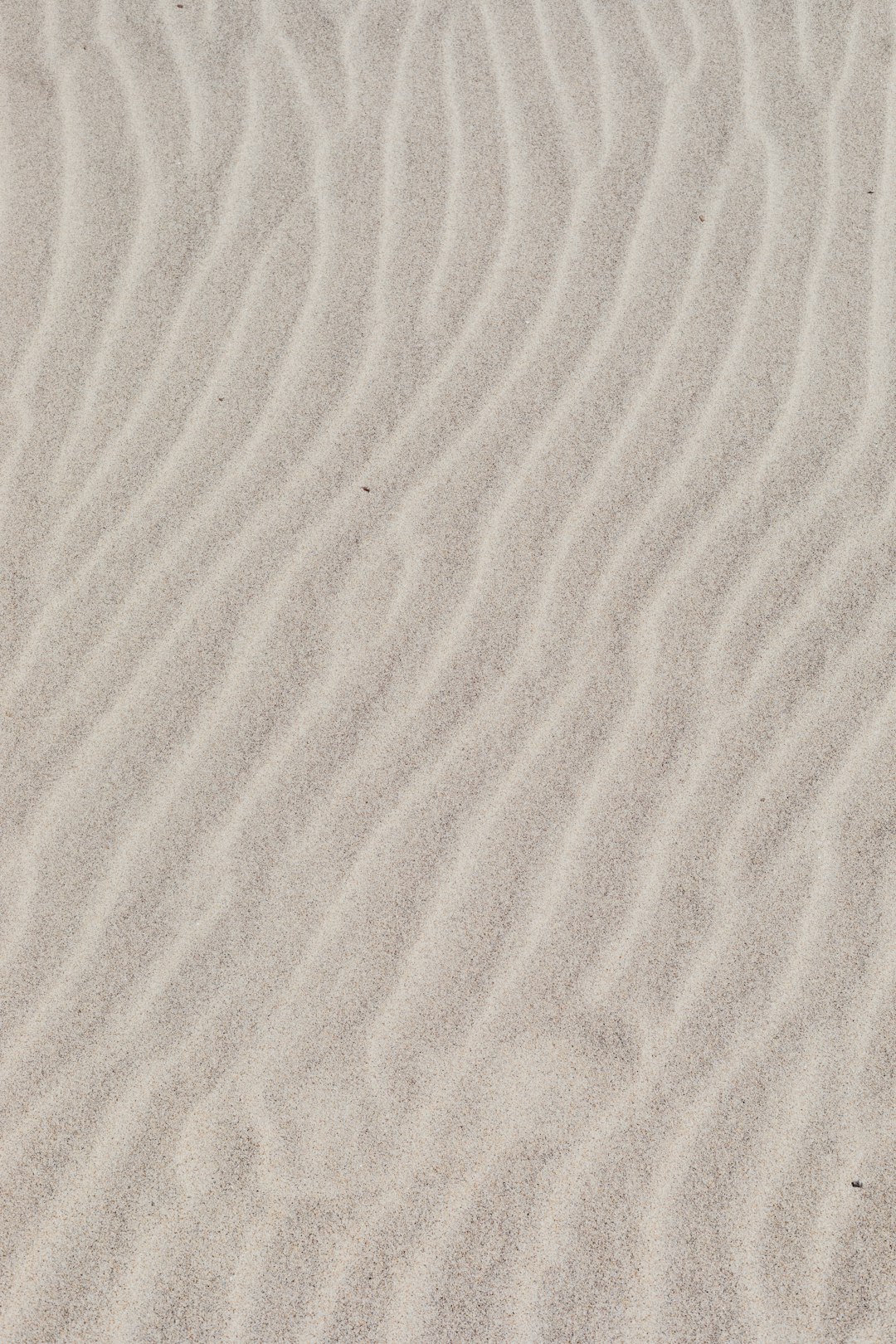 Sand Ripples (image credits: unsplash)