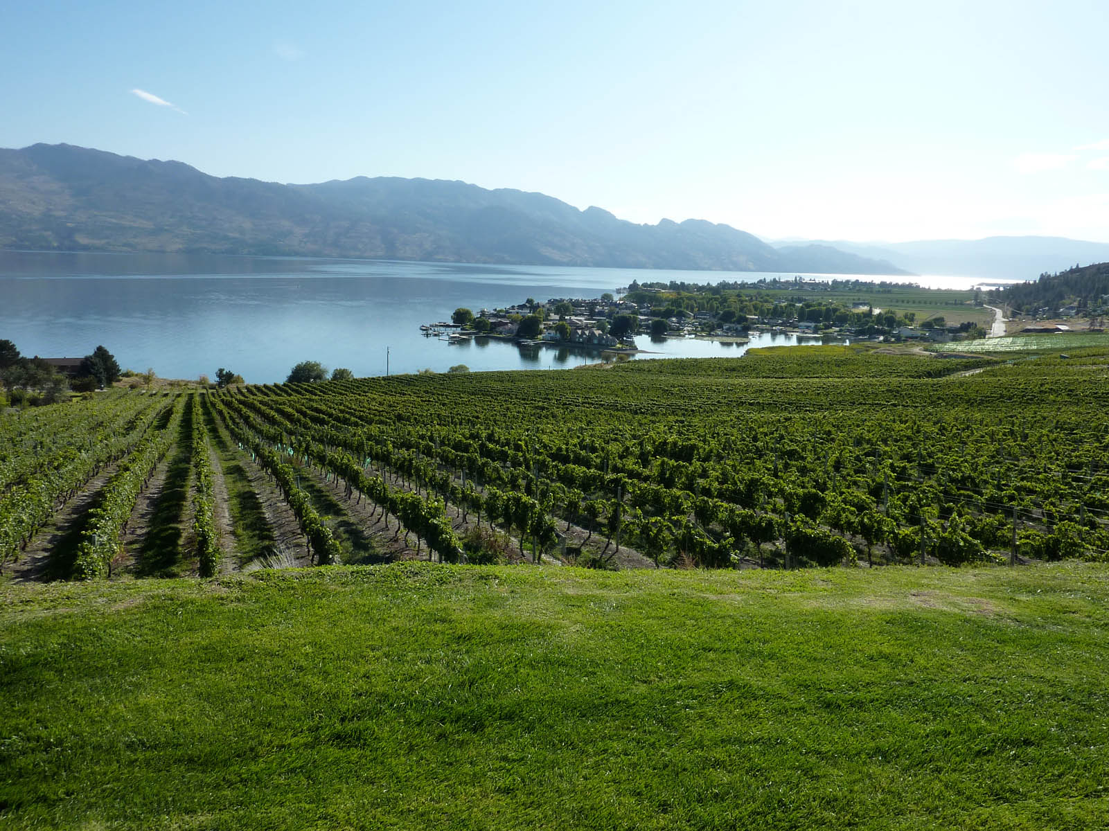 Kelowna, British Columbia (image credits: wikimedia)