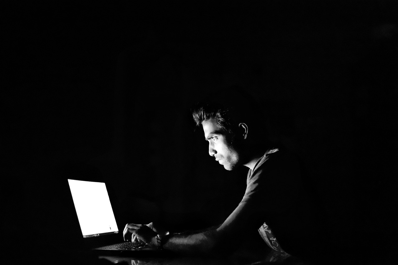 The Rise of Digital Privacy Concerns (image credits: pixabay)