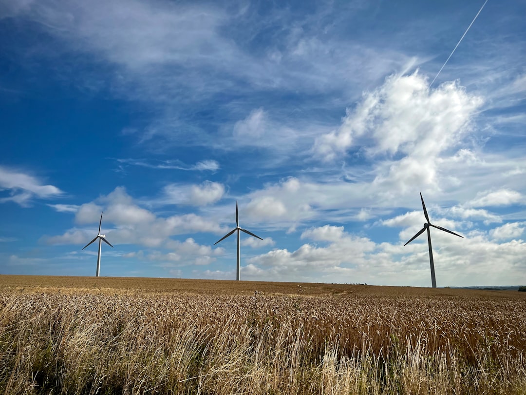 Denmark: Wind Power and Sustainable Cities (image credits: unsplash)