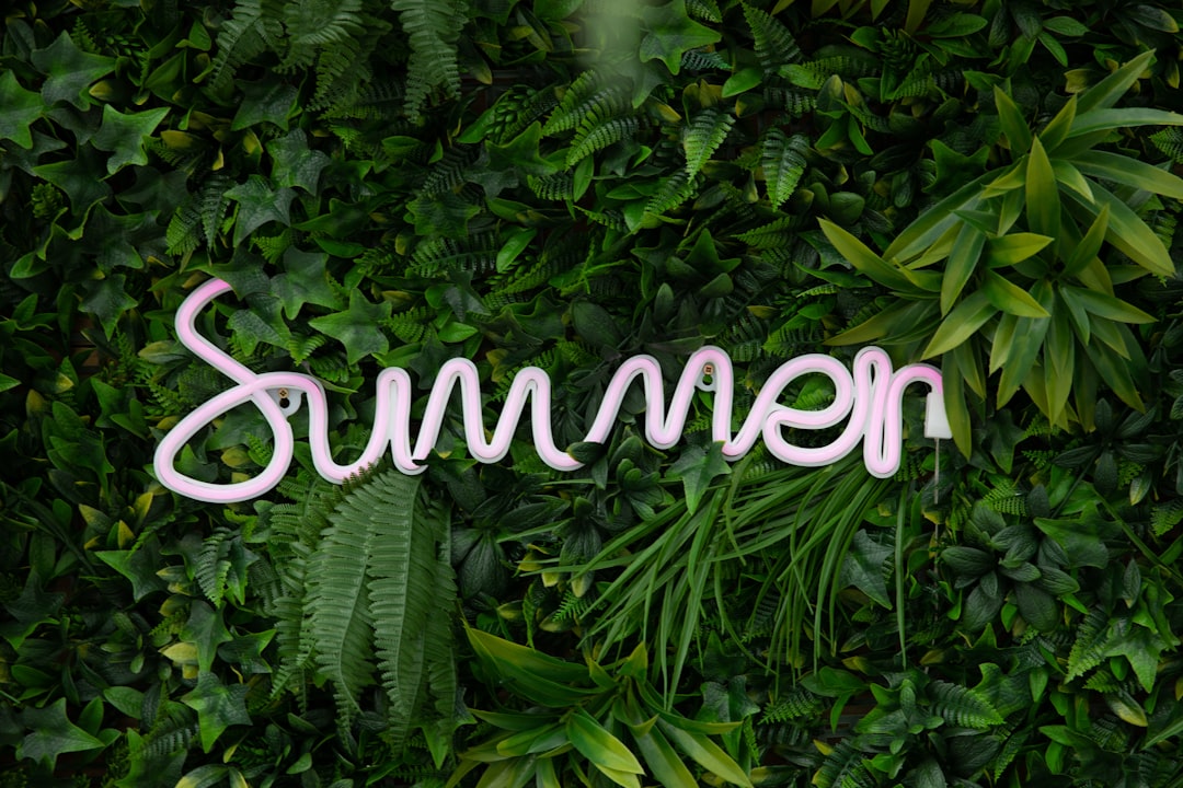 Why Coolcations Are the Future (image credits: unsplash)