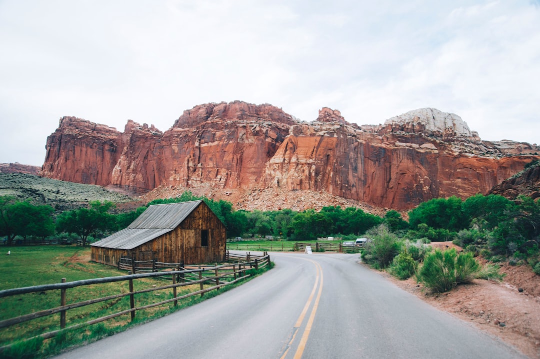 9. Capitol Reef National Park - The Fruit Orchard Confusion (image credits: unsplash)