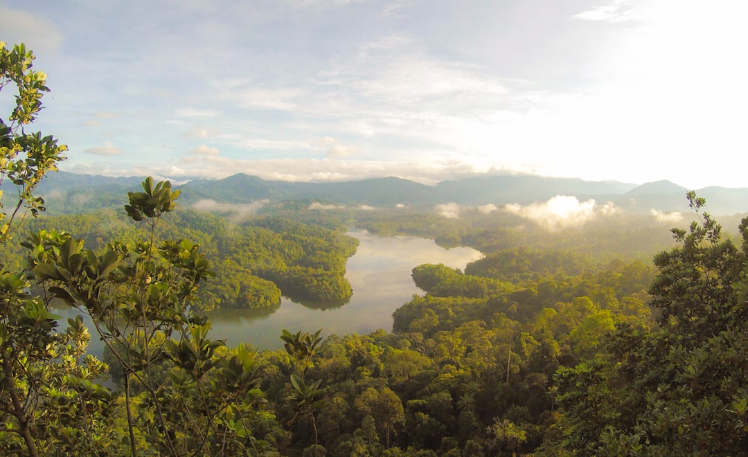 Papua New Guinea – A Jungle Island of Lawlessness (image credits: unsplash)