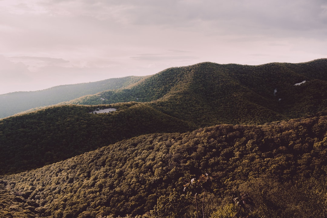 15. Shenandoah National Park, Virginia (image credits: unsplash)