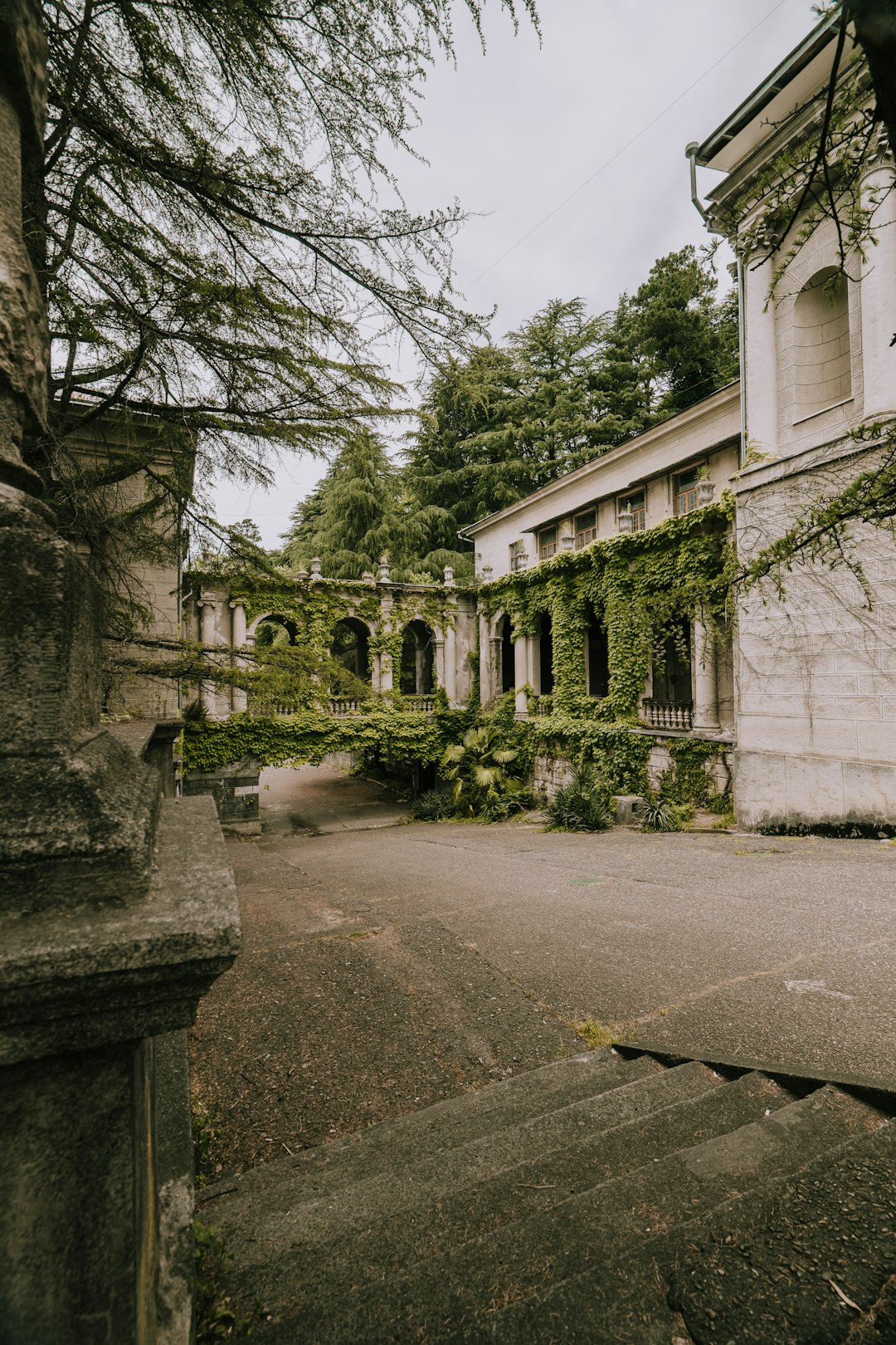 Surreal Decay: Nature’s Takeover of Hotels and Homes (image credits: unsplash)