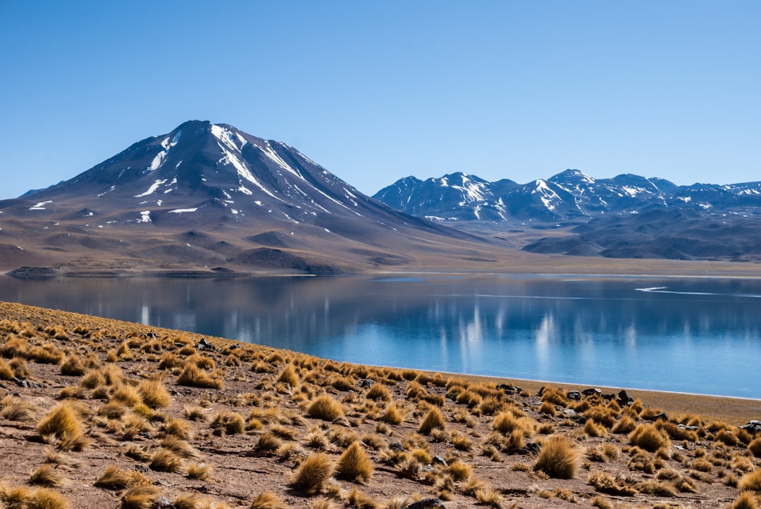The Unending Struggle for Water (image credits: unsplash)