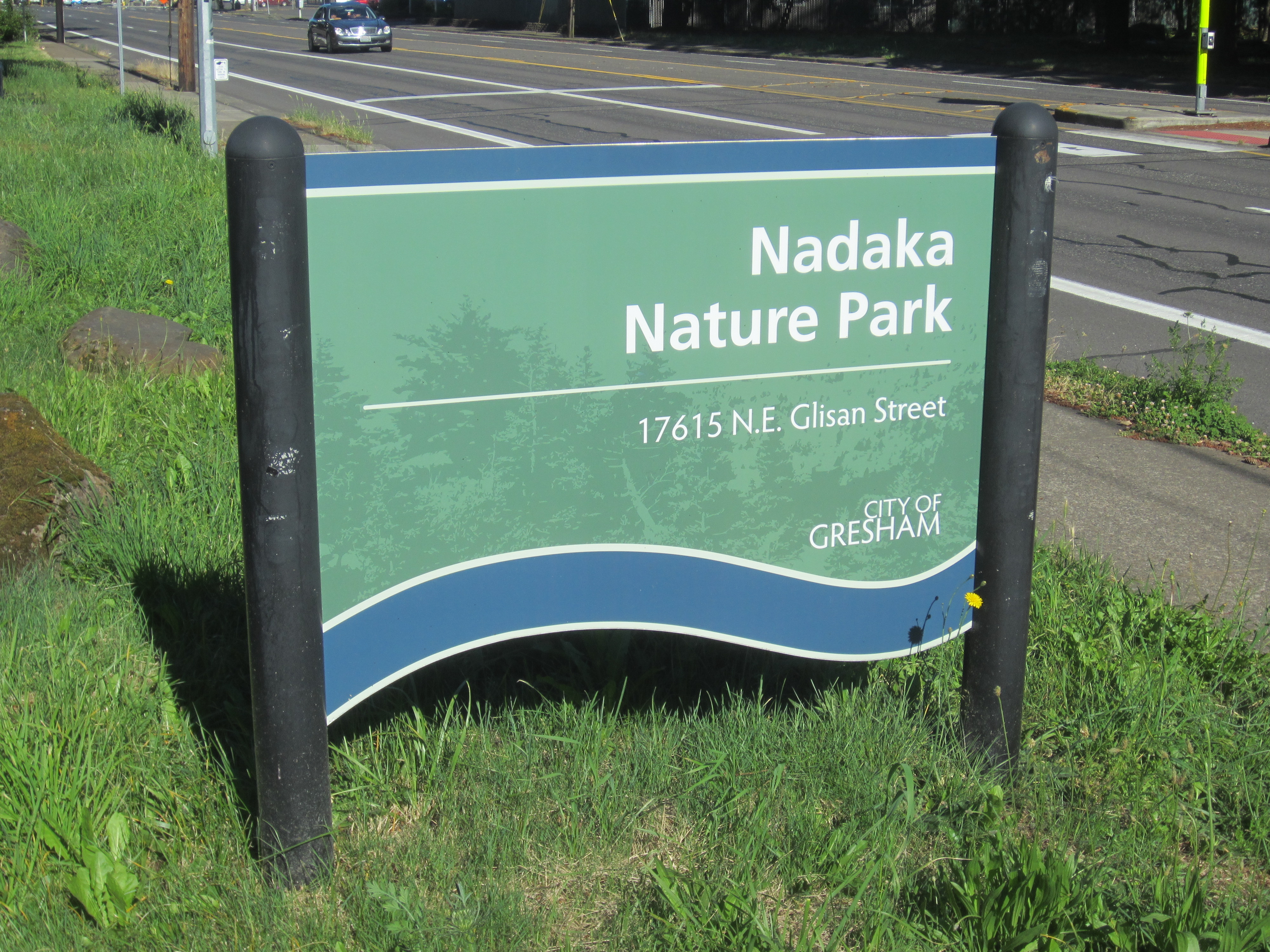 Oregon: A Nature Lover’s Dream (image credits: wikimedia)