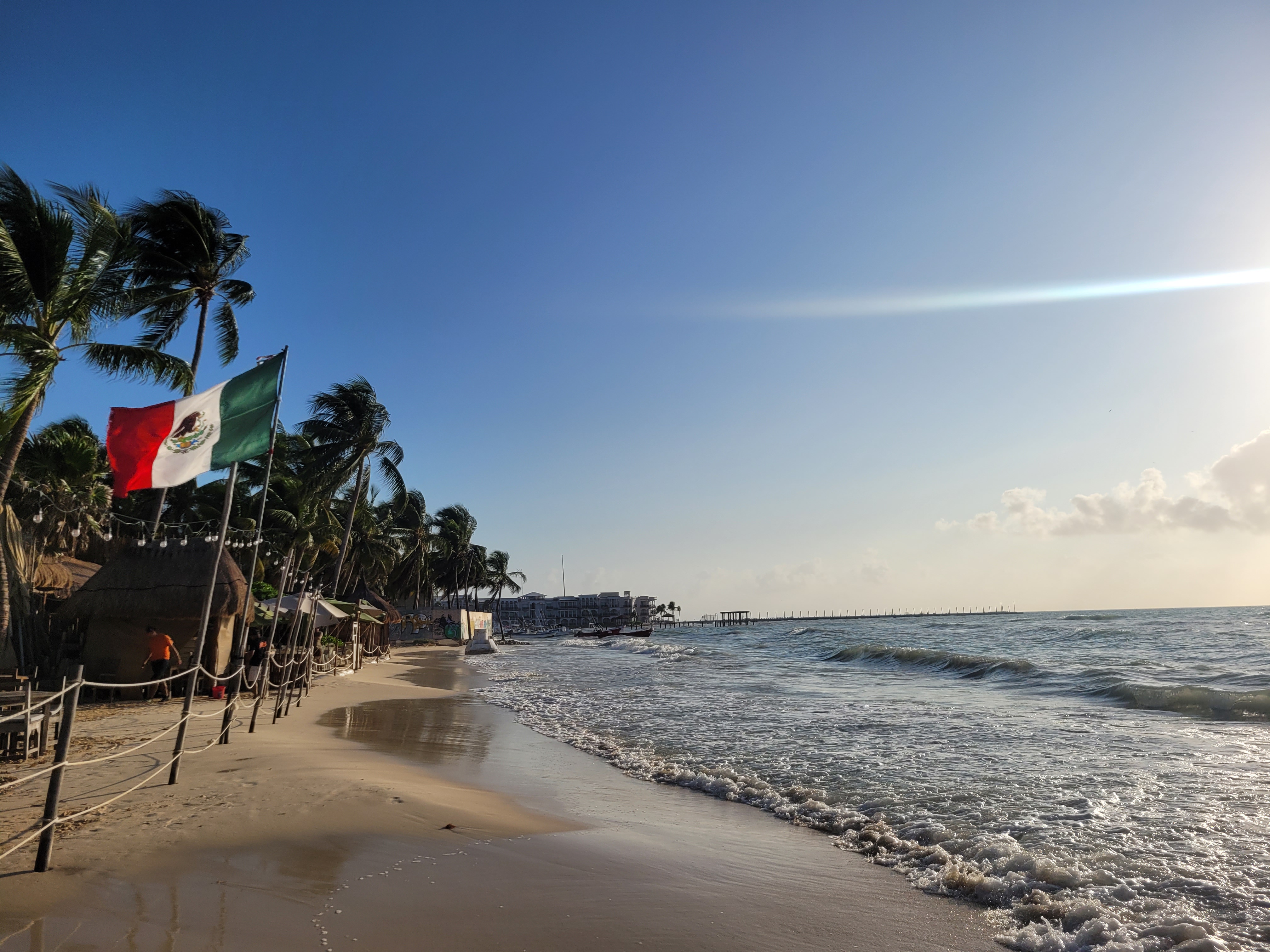 Playa del Carmen Under the Microscope (image credits: wikimedia)