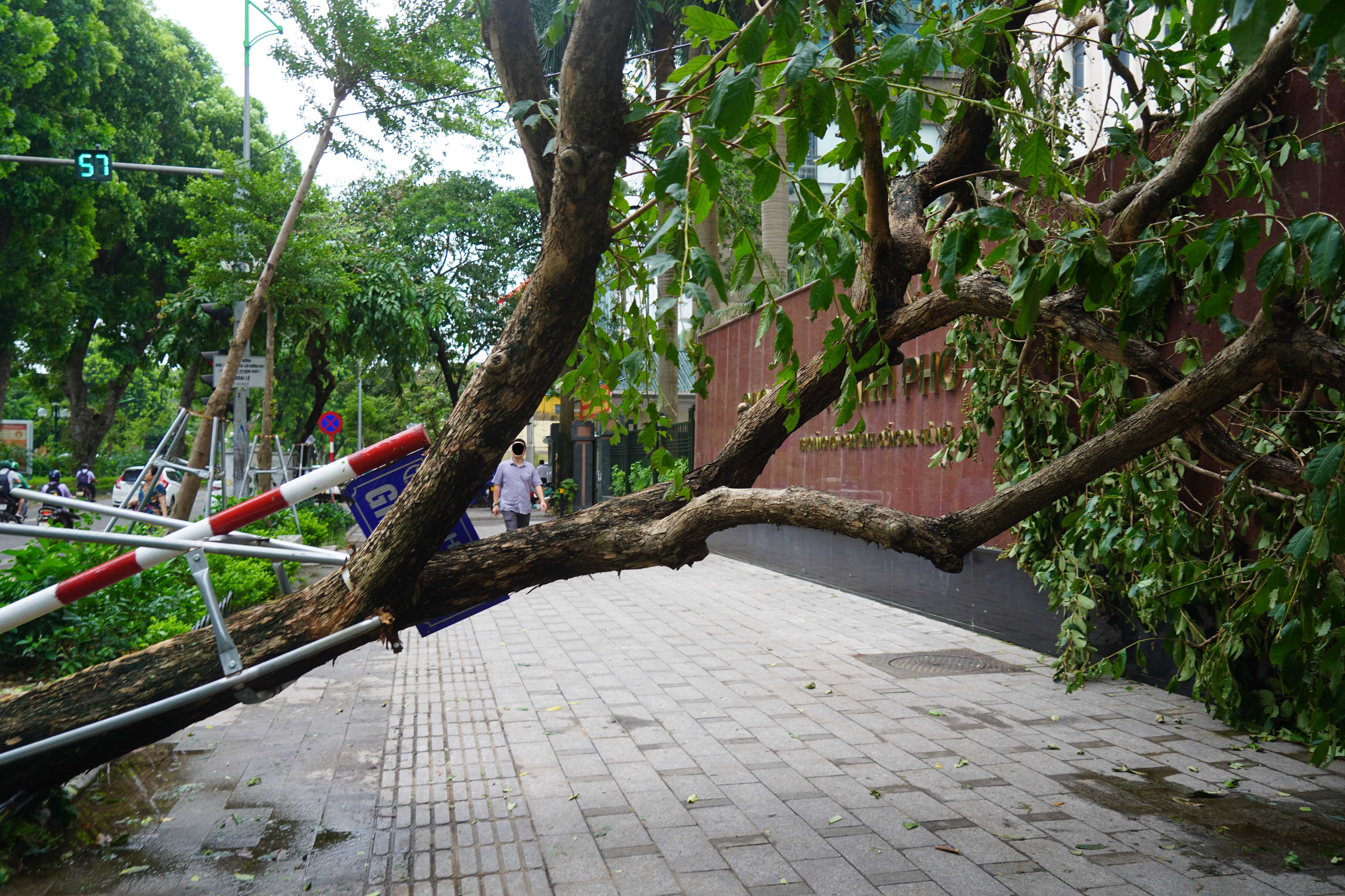 Philippines: In the Heart of the Typhoon Belt (image credits: wikimedia)
