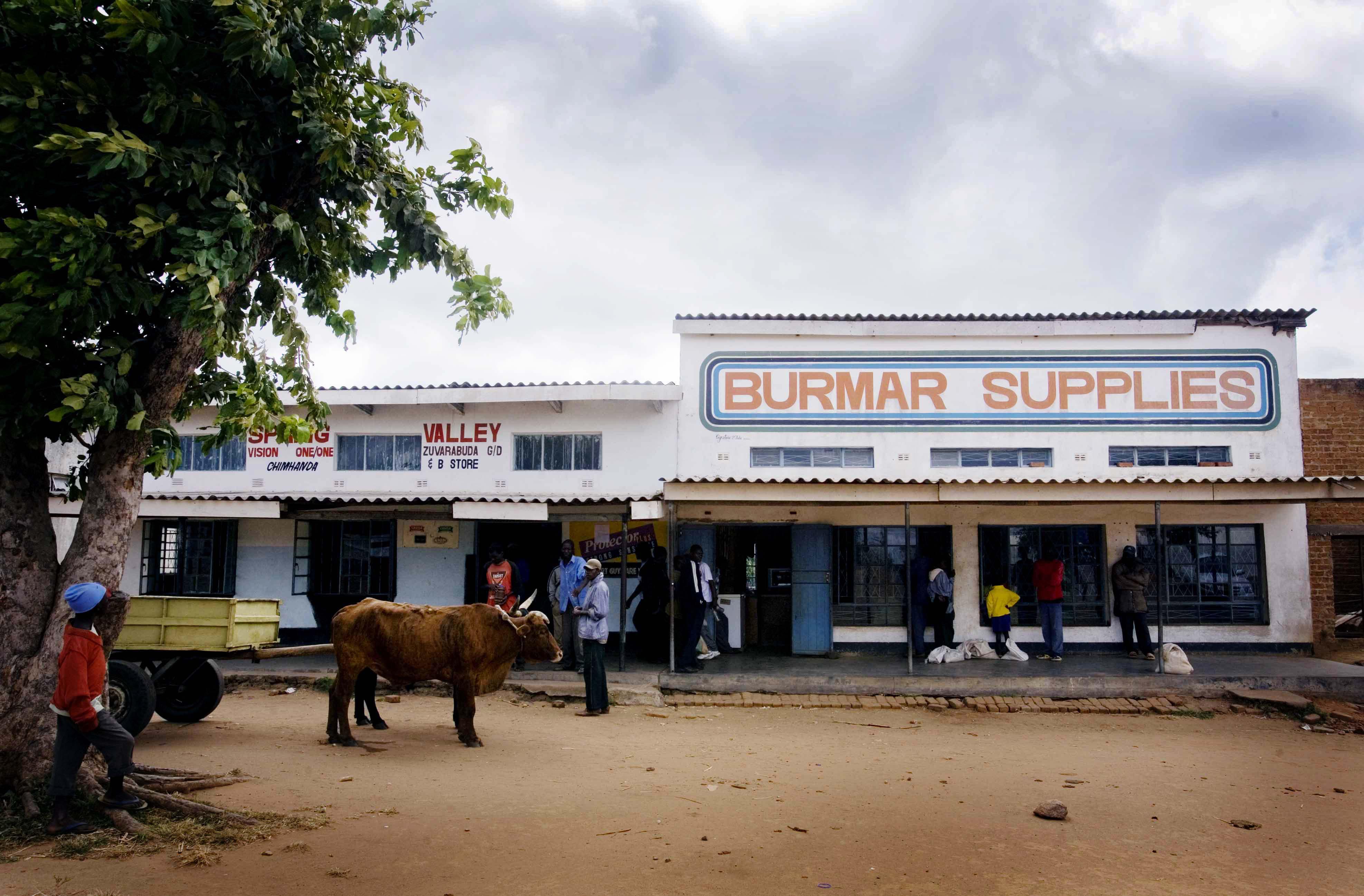 13. Zimbabwe: Economic Crisis and Social Strain (image credits: wikimedia)