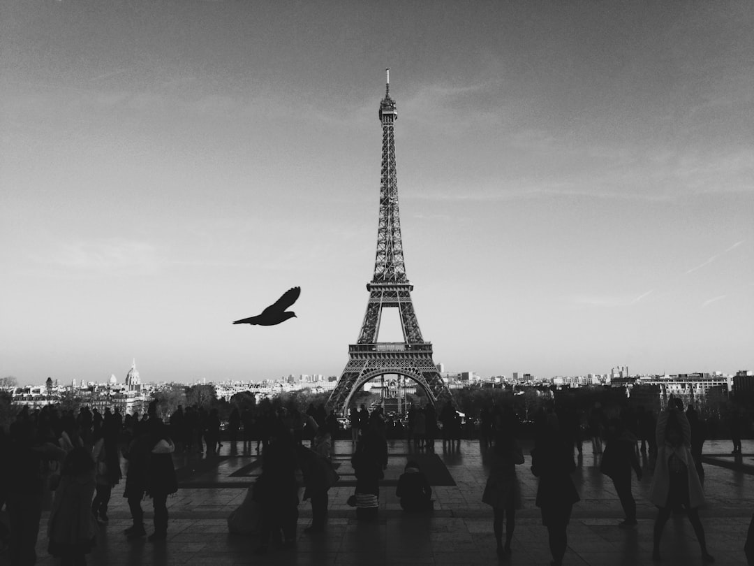 Eiffel Tower Crowds Crush the Magic (image credits: unsplash)