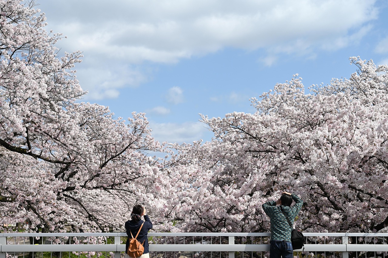 The Enduring Splendor of Kyoto’s Temples (image credits: pixabay)