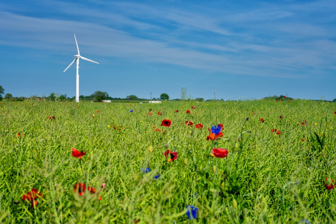 1. Sweden: A Leader in Sustainability (image credits: unsplash)