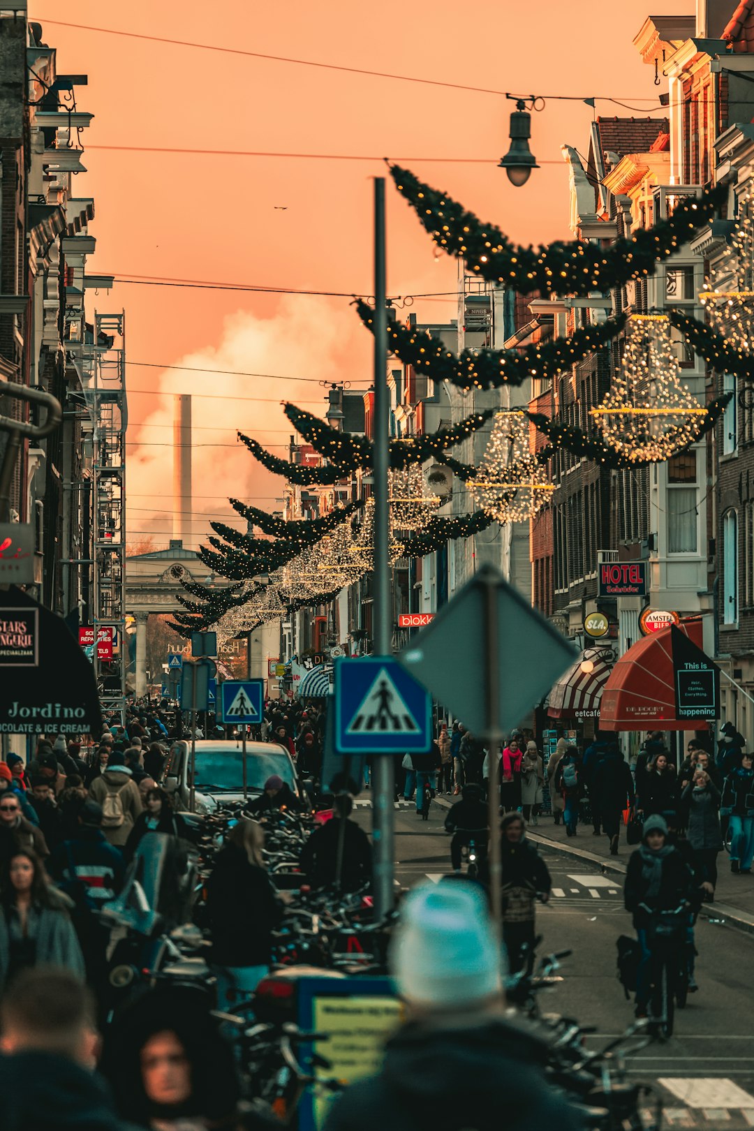 Environmental Impact and Nature at Risk (image credits: unsplash)
