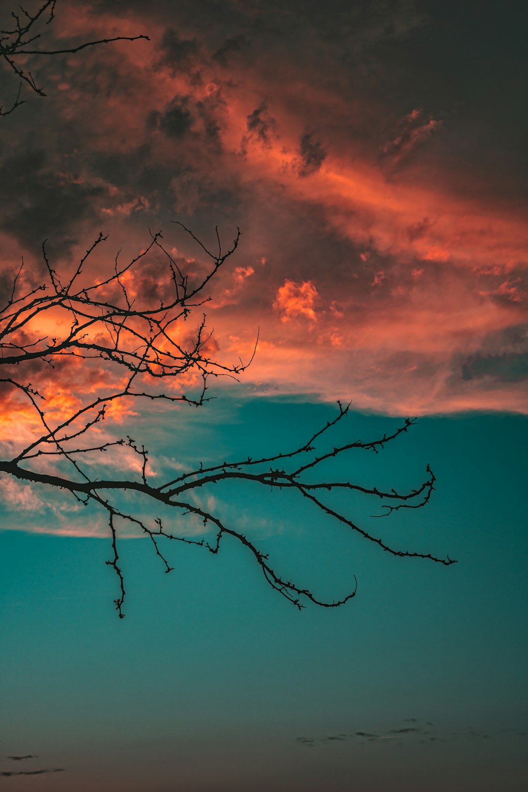 The Pacific’s Newest Faces: Bougainville’s Path Forward (image credits: unsplash)