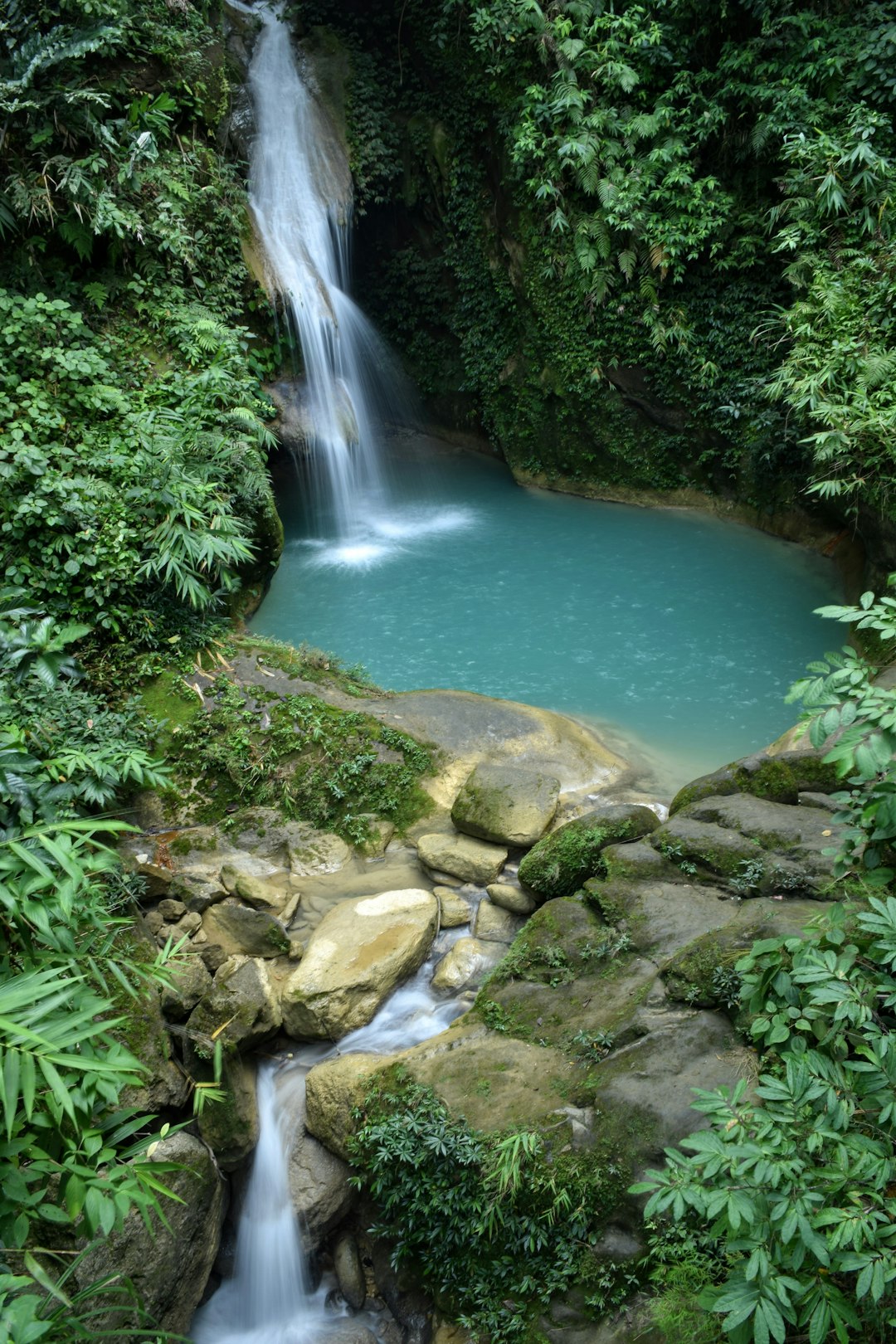 Costa Rica Where Rainforest Meets Pacific Waves (image credits: unsplash)
