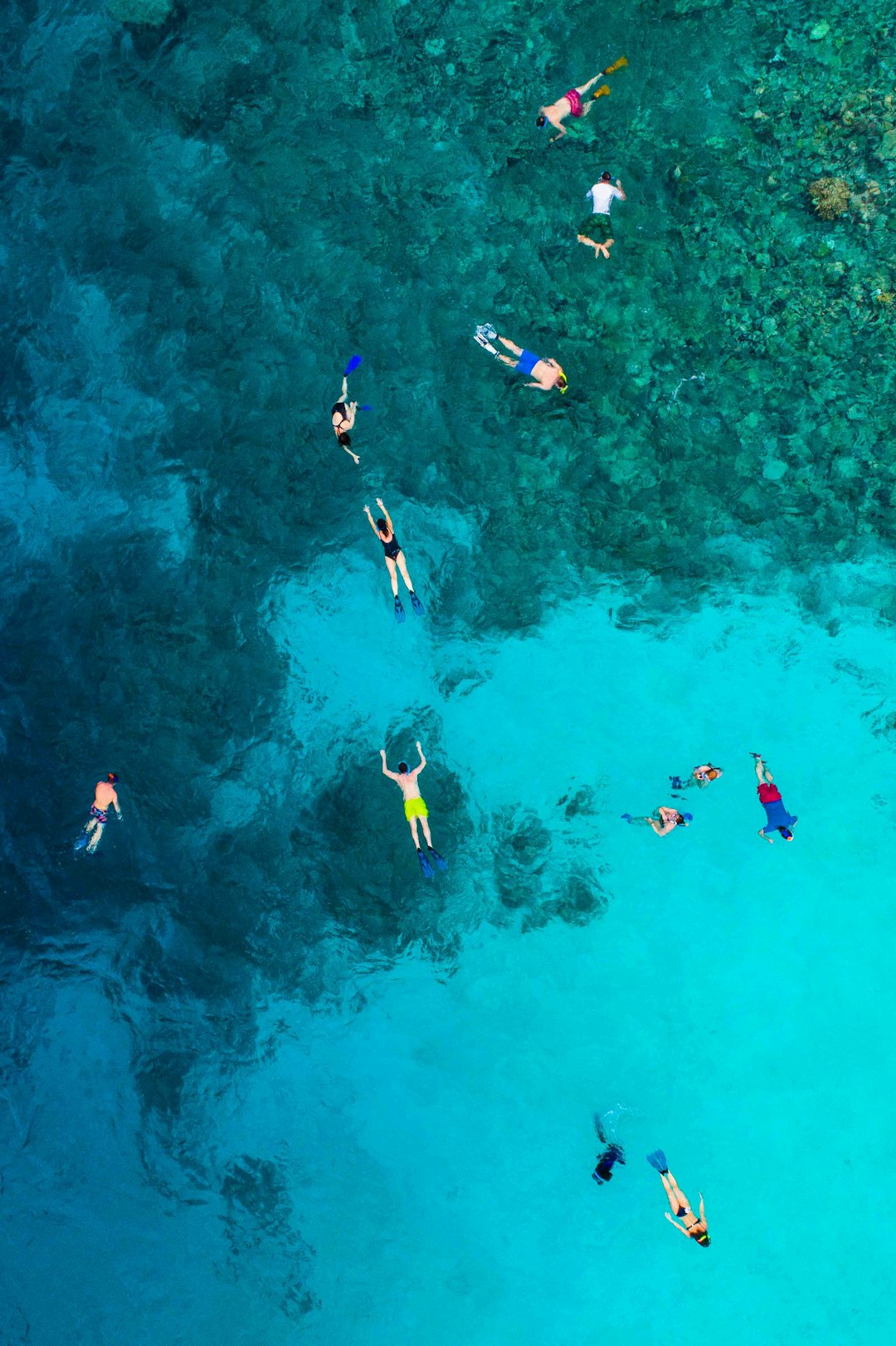 Australia: Diverse Ecosystems and Outdoor Healing (image credits: unsplash)