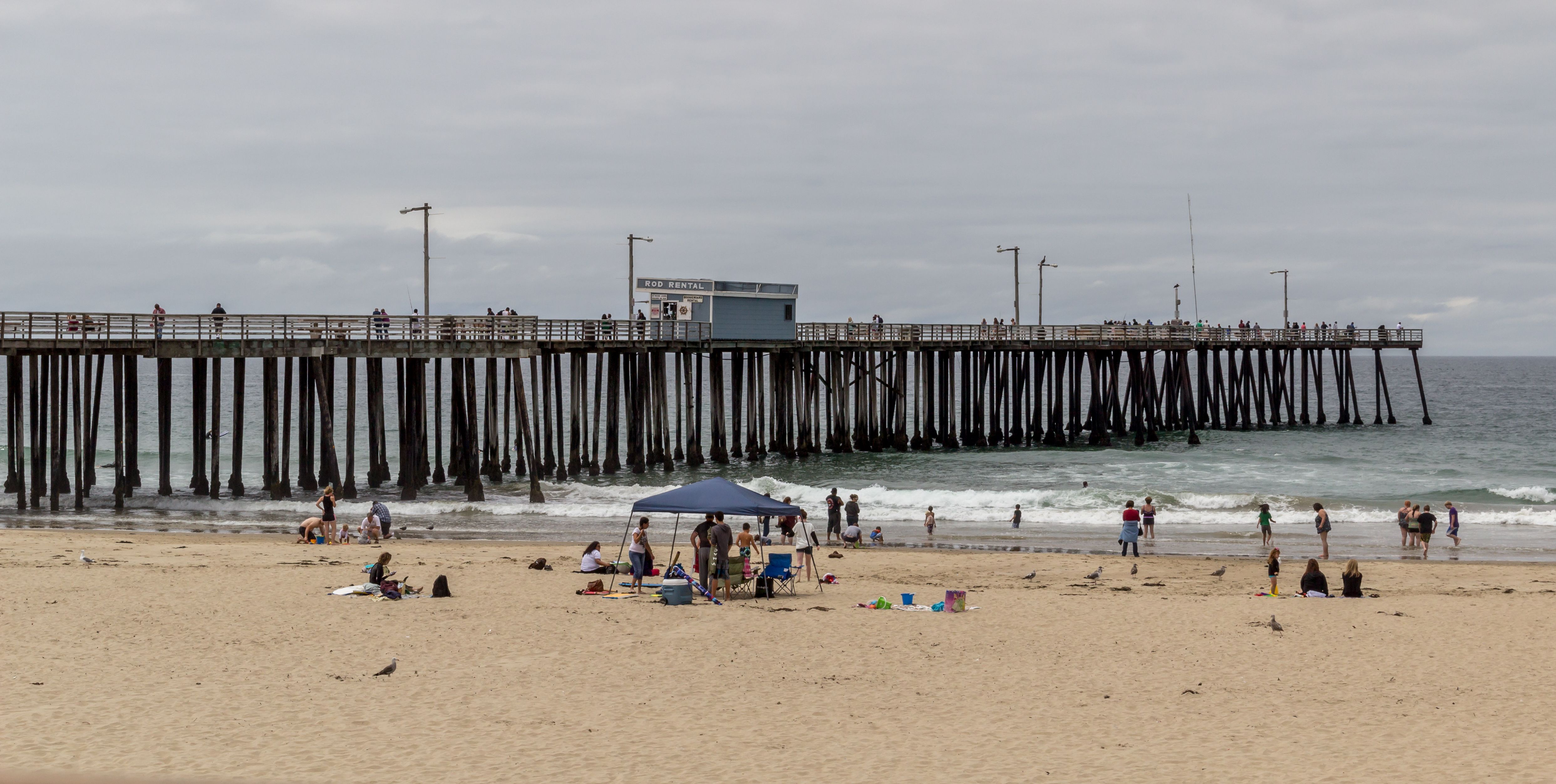Pismo Beach, California (image credits: wikimedia)
