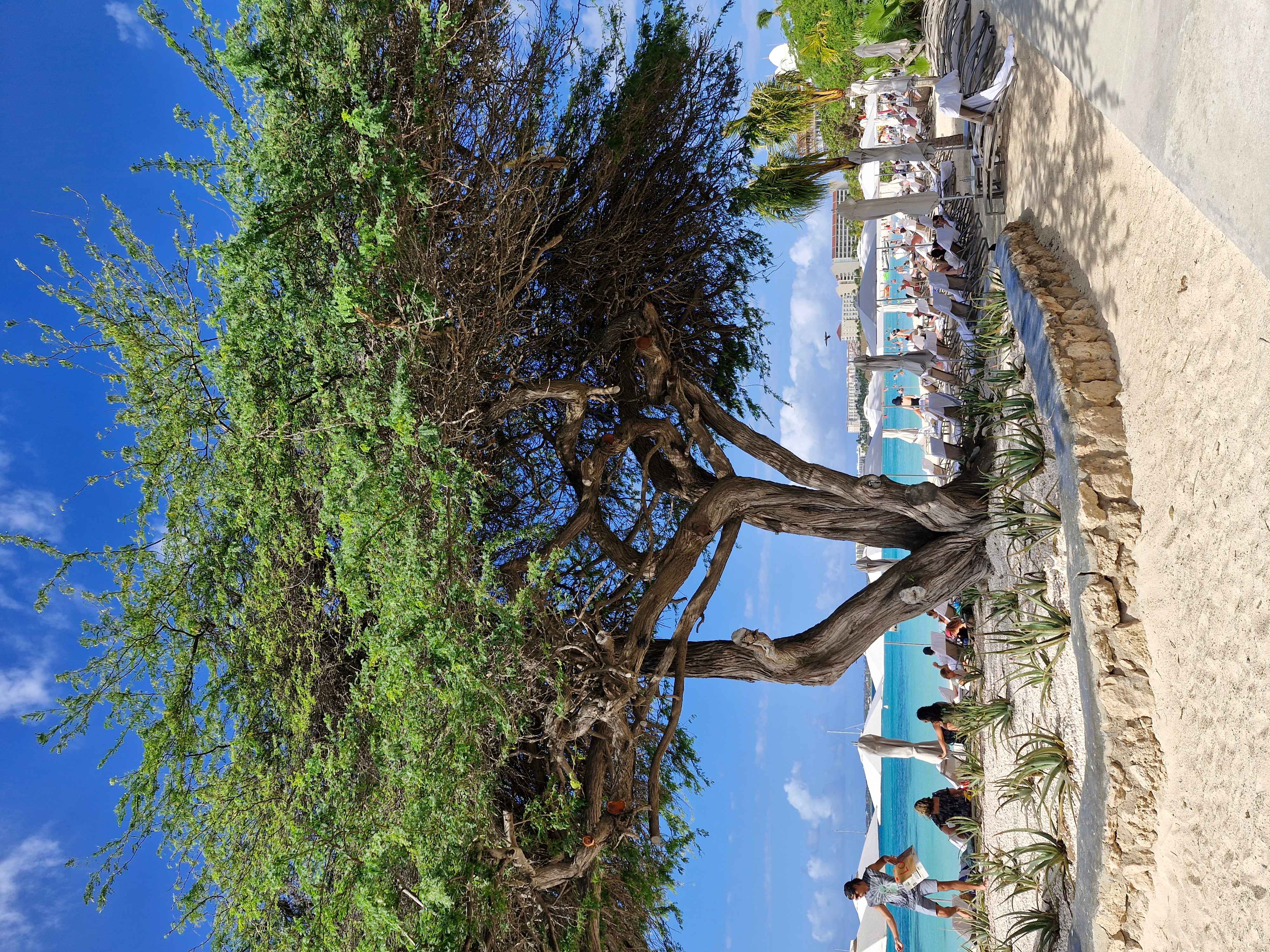 Caribbean: Island Hopping Fun (image credits: wikimedia)
