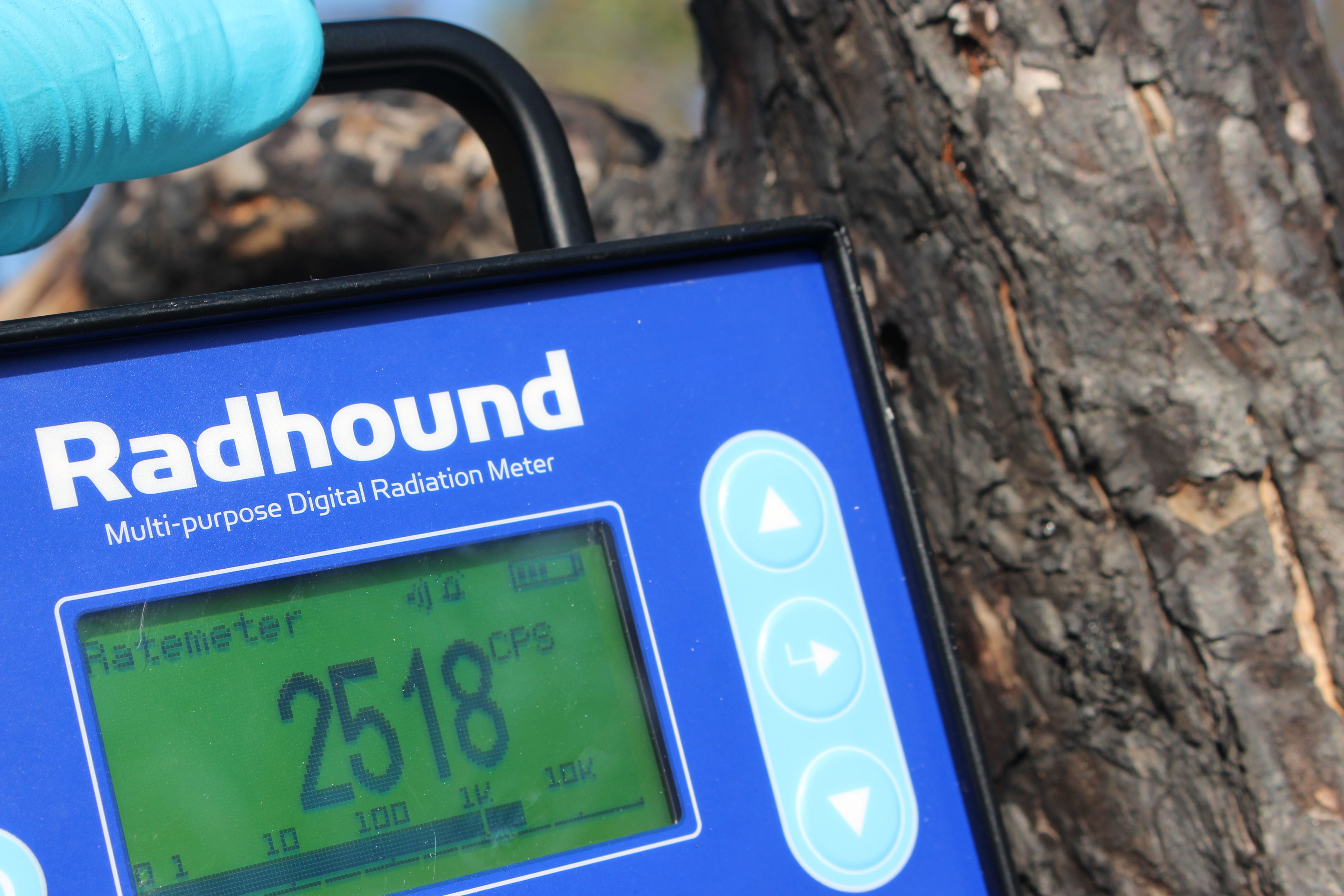 Current Radiation Levels (image credits: wikimedia)
