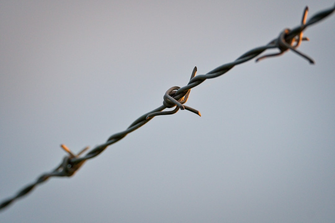 Border Areas of Concern (image credits: unsplash)