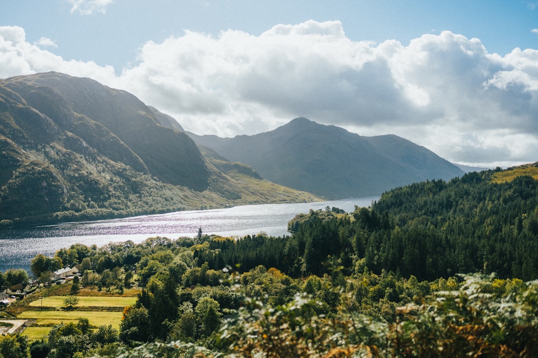 New Zealand: Adventure Meets Conservation (image credits: unsplash)