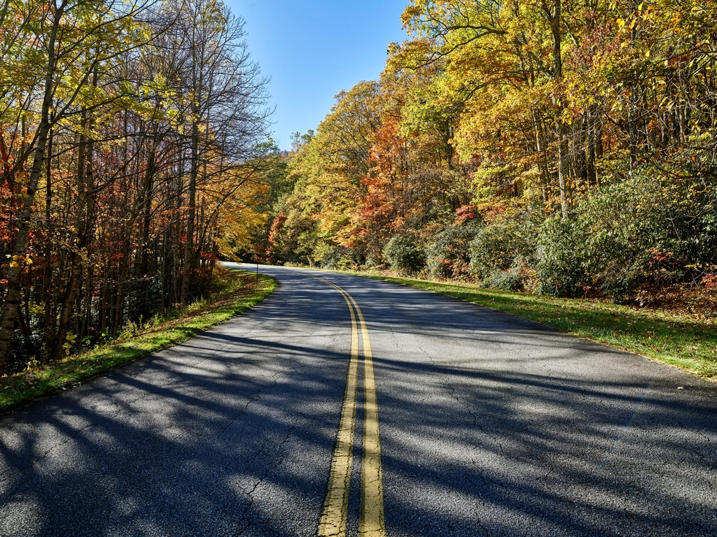 North Carolina: Scenic Drives and Southern Hospitality (image credits: rawpixel)