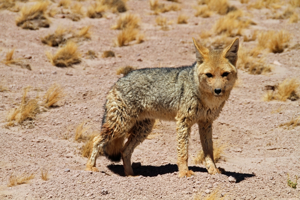 Conservation Efforts Supported by Tourism