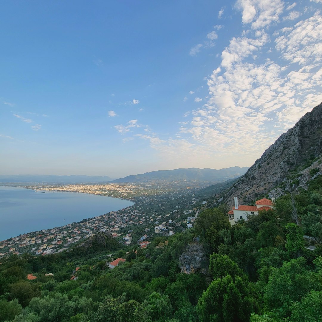 Greece Olive Trees and Sea Breezes (image credits: unsplash)