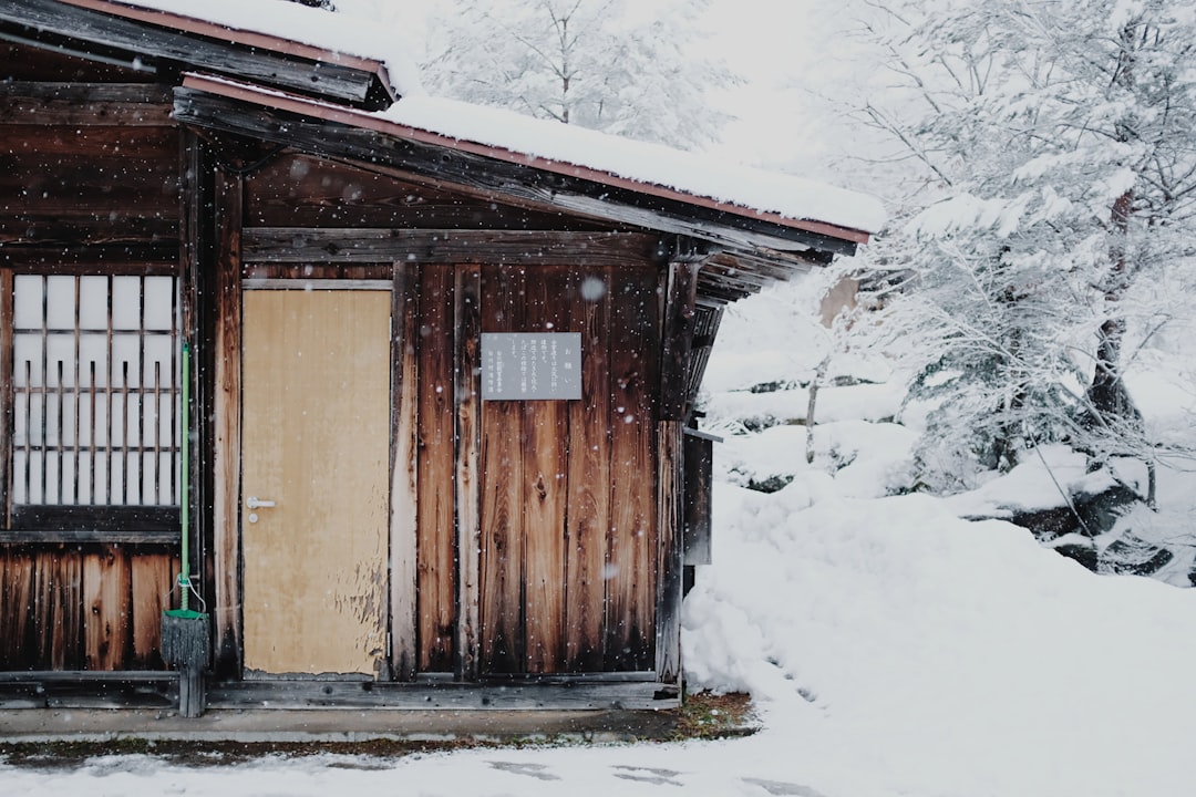 Japan (image credits: unsplash)