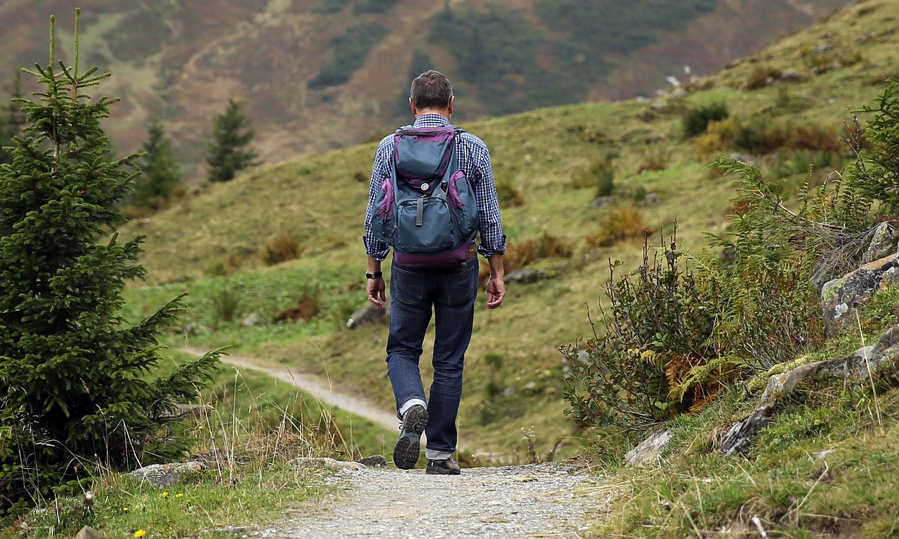 Nature Immersion Heals What Cities Cannot (image credits: pixabay)