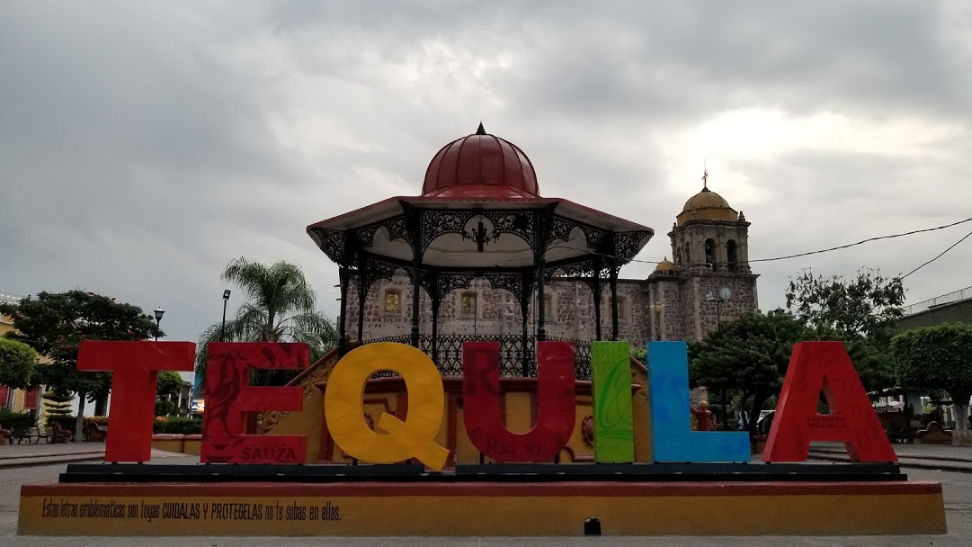 Tequila (image credits: wikimedia)