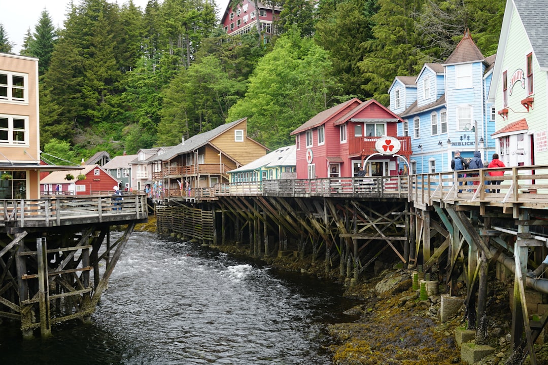 Overview of the Village (image credits: unsplash)