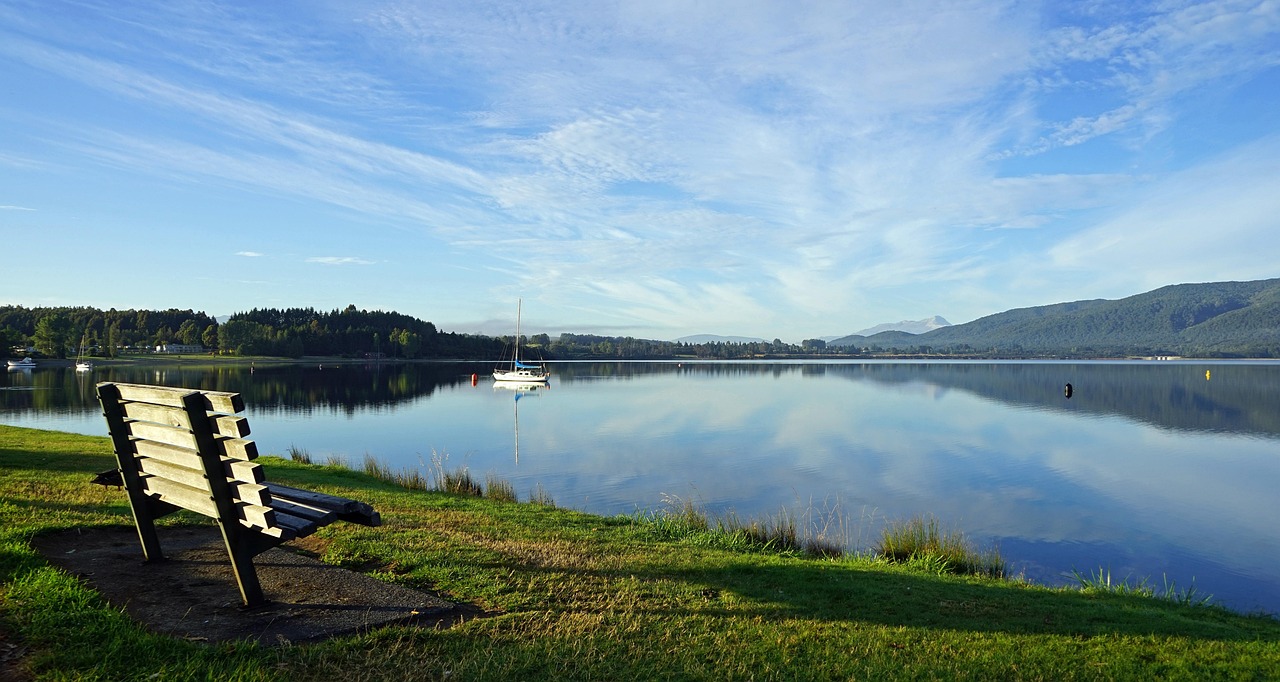 New Zealand: A Natural Treasure (image credits: pixabay)