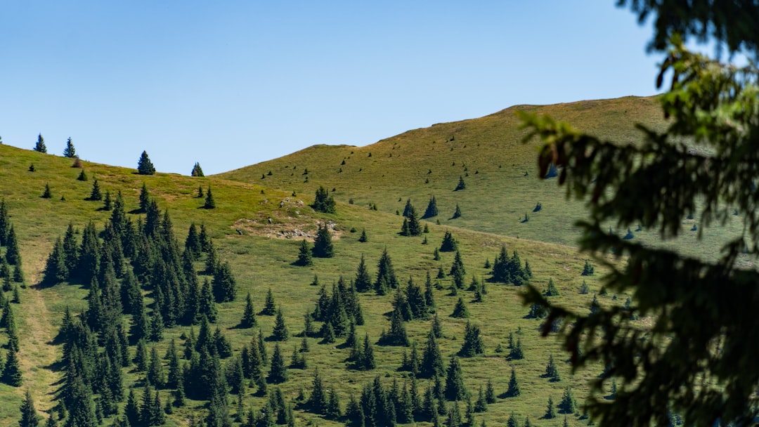 Natural Beauty and Outdoor Activities (image credits: unsplash)
