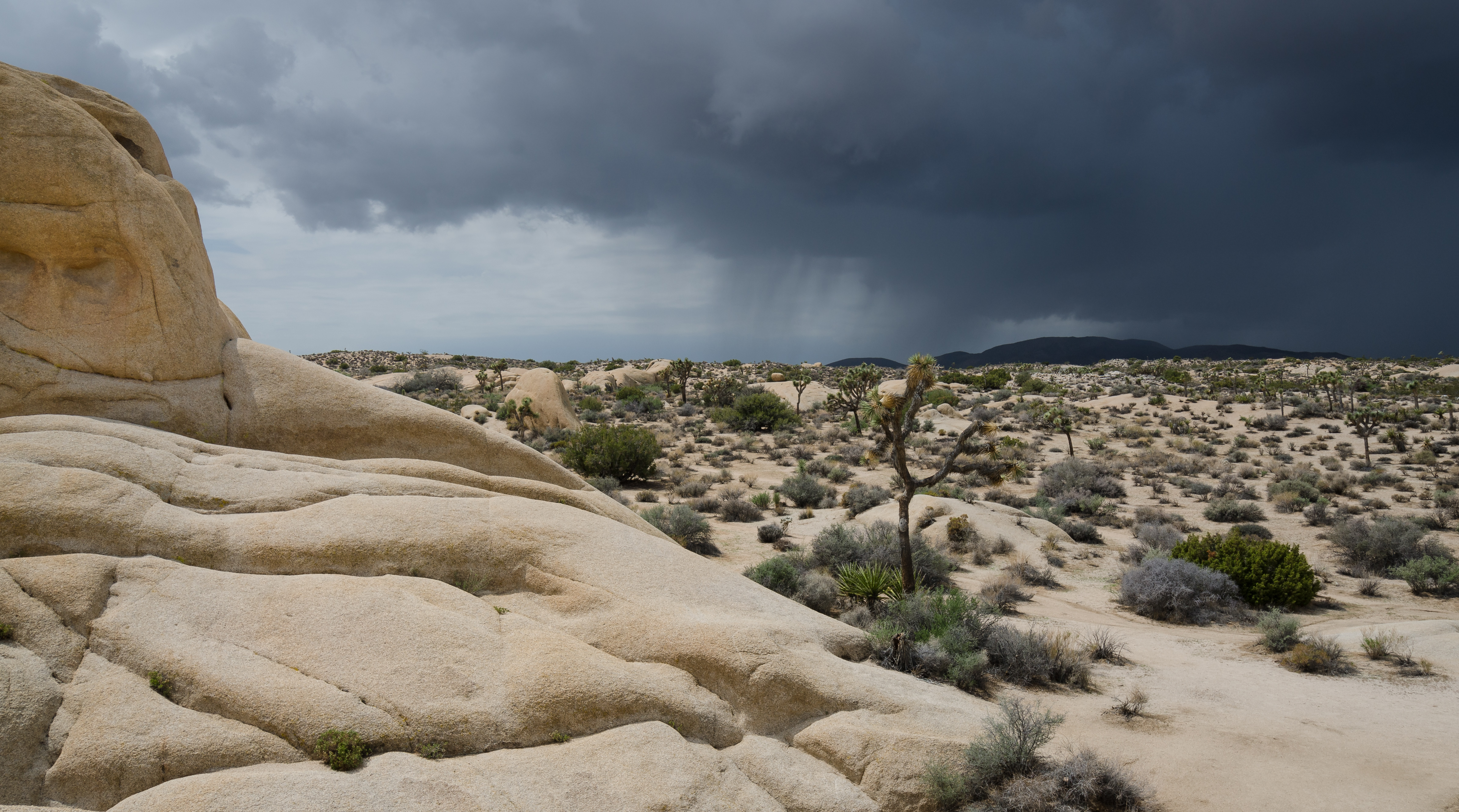 3. Joshua Tree National Park, California (image credits: wikimedia)